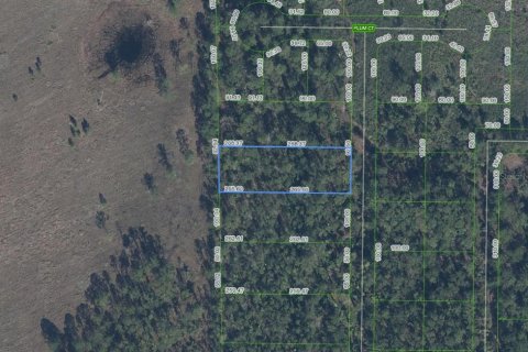 Terrain à Sebring, Floride № 2164526