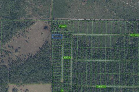 Land in Sebring, Florida № 2164526 - photo 2