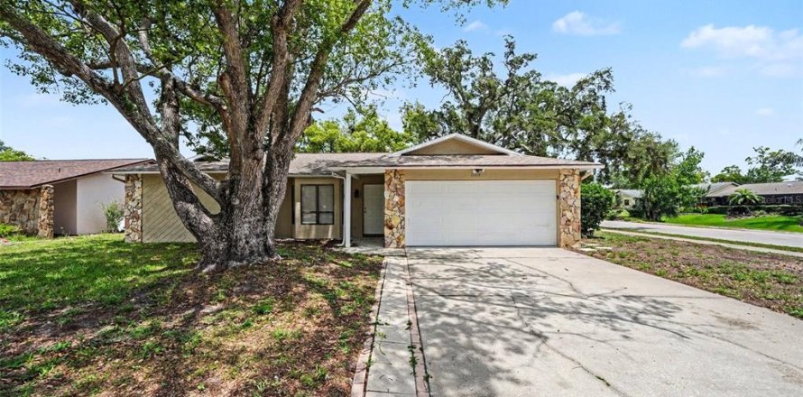 Casa en Port Richey, Florida 3 dormitorios, 126.25 m2 № 2217353