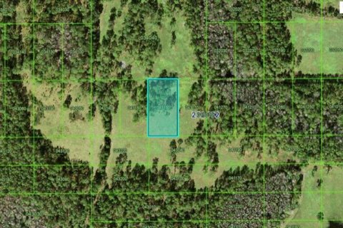 Terrain à Polk City, Floride № 2235278