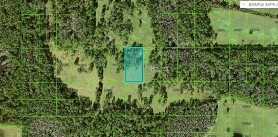 Terrain à Polk City, Floride № 2235278