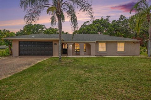 Casa en Apopka, Florida 4 dormitorios, 396.51 m2 № 2152027