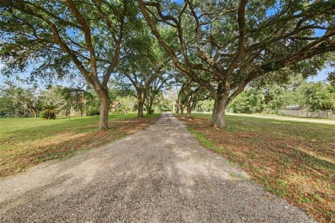 Casa en venta en Apopka, Florida, 4 dormitorios, 396.51 m2 № 2152027 - foto 4