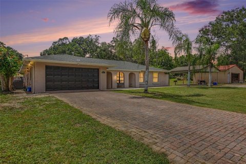 Casa en venta en Apopka, Florida, 4 dormitorios, 396.51 m2 № 2152027 - foto 2