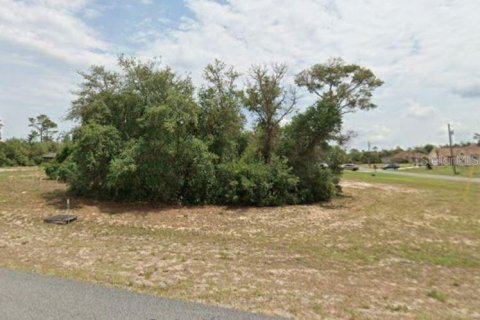 Land in Ocala, Florida № 2198679 - photo 3