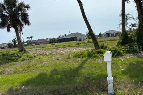 Land in Rotonda, Florida № 1677413 - photo 4
