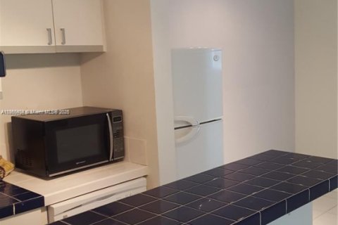 Copropriété à louer à South Miami, Floride: 1 chambre, 47.38 m2 № 1891178 - photo 4