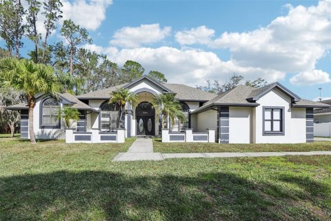 Villa ou maison à vendre à Valrico, Floride: 4 chambres, 358.05 m2 № 1840438 - photo 1