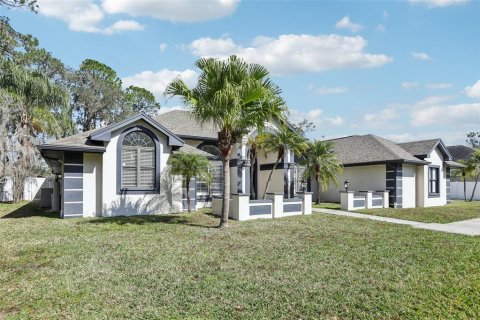 Villa ou maison à vendre à Valrico, Floride: 4 chambres, 358.05 m2 № 1840438 - photo 2