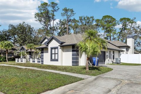 Villa ou maison à vendre à Valrico, Floride: 4 chambres, 358.05 m2 № 1840438 - photo 6