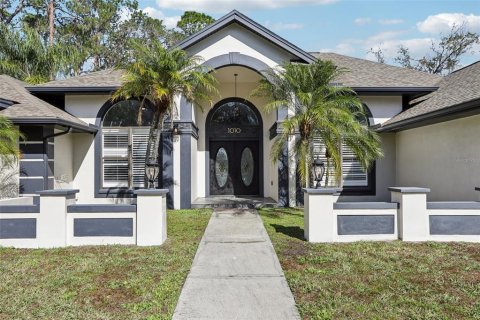 Villa ou maison à vendre à Valrico, Floride: 4 chambres, 358.05 m2 № 1840438 - photo 9