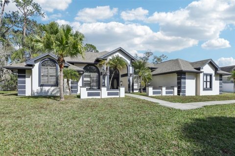 Villa ou maison à vendre à Valrico, Floride: 4 chambres, 358.05 m2 № 1840438 - photo 3