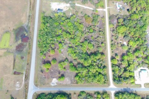 Land in Clewiston, Florida № 2090359 - photo 8