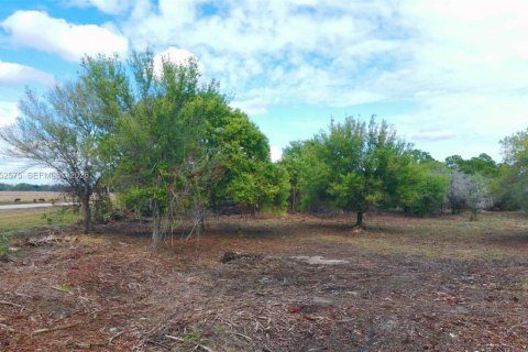 Land in Clewiston, Florida № 2090359 - photo 4