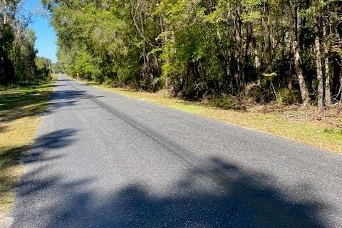 Terrain à Alachua, Floride № 2123862