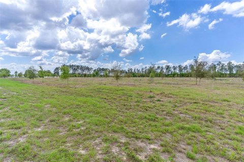 Terrain à Weirsdale, Floride № 2128449