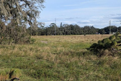 Land in Sebring, Florida № 1877435 - photo 5