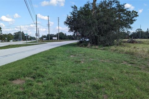 Land in Sebring, Florida № 1877435 - photo 6