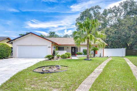 Villa ou maison à vendre à Temple Terrace, Floride: 3 chambres, 121.52 m2 № 1902779 - photo 1