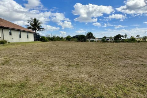 Commercial property in Cape Coral, Florida № 2259692 - photo 11