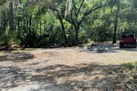 Land in Brandon, Florida № 2216620