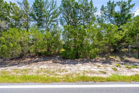 Land in Brooksville, Florida № 1903360 - photo 13