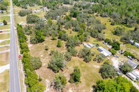 Land in Brooksville, Florida № 1903360 - photo 11