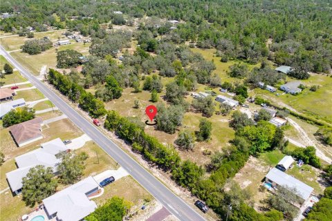 Land in Brooksville, Florida № 1903360 - photo 2