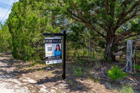 Land in Brooksville, Florida № 1903360 - photo 3