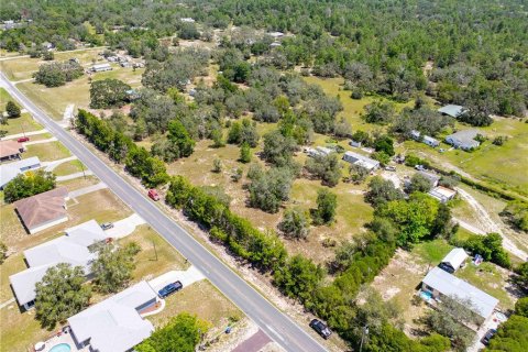 Land in Brooksville, Florida № 1903360 - photo 4