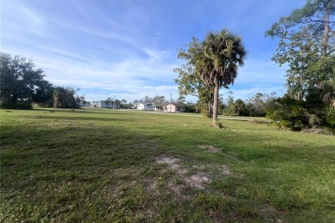 Land in Punta Gorda, Florida № 2163875