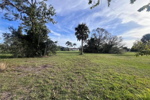 Land in Punta Gorda, Florida № 2163875 - photo 5