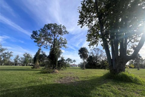 Land in Punta Gorda, Florida № 2163875 - photo 7