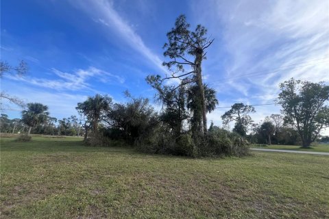 Land in Punta Gorda, Florida № 2163875 - photo 3