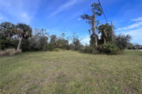 Land in Punta Gorda, Florida № 2163875 - photo 6