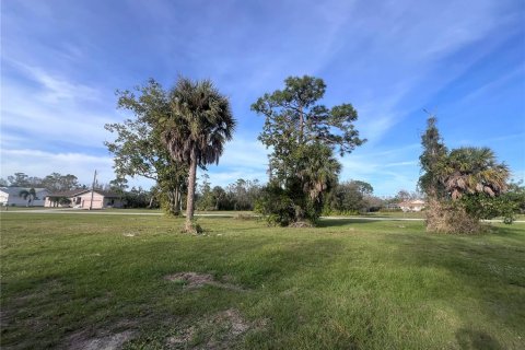 Land in Punta Gorda, Florida № 2163875 - photo 2