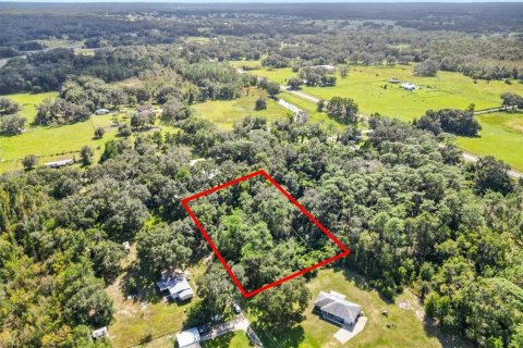 Land in Bushnell, Florida № 2360482