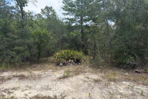 Terrain à vendre à Homosassa, Floride № 2233878 - photo 7