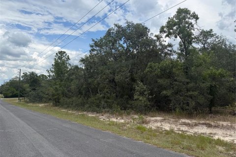 Terrain à vendre à Homosassa, Floride № 2233878 - photo 4
