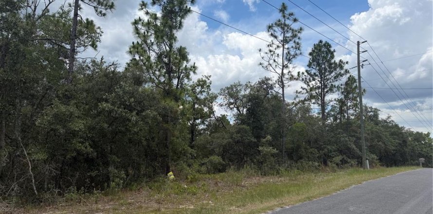 Terrain à Homosassa, Floride № 2233878