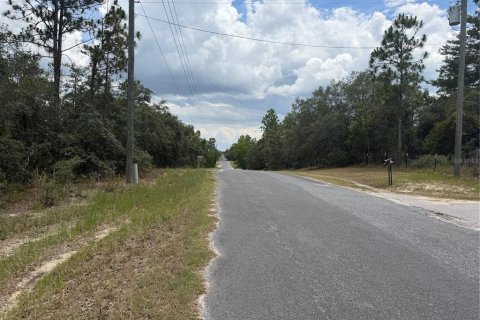 Terrain à vendre à Homosassa, Floride № 2233878 - photo 3