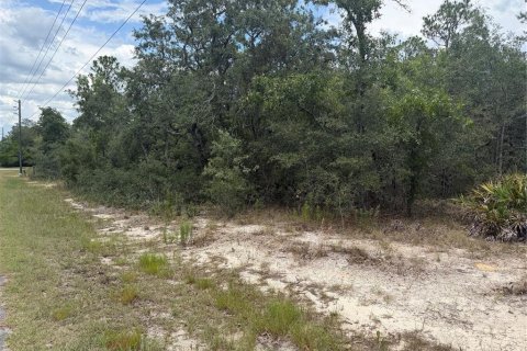 Terrain à vendre à Homosassa, Floride № 2233878 - photo 6