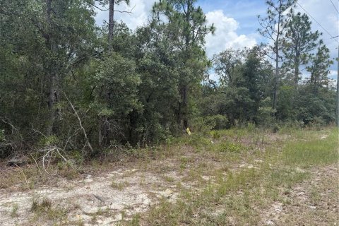 Terrain à vendre à Homosassa, Floride № 2233878 - photo 8
