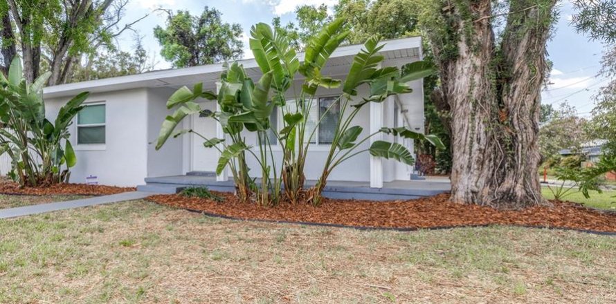 House in Tampa, Florida 3 bedrooms, 158.96 sq.m. № 2117057