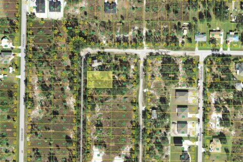 Land in Punta Gorda, Florida № 2160299 - photo 2