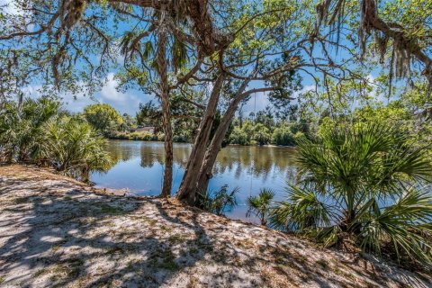 House in Parrish, Florida 3 bedrooms, 239.59 sq.m. № 2219999 - photo 21