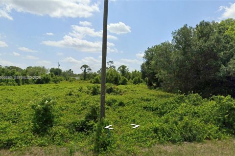 Terreno en Lake Placid, Florida № 2170436