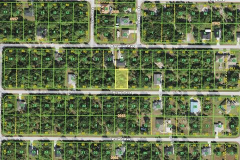 Land in Port Charlotte, Florida № 2387359 - photo 3