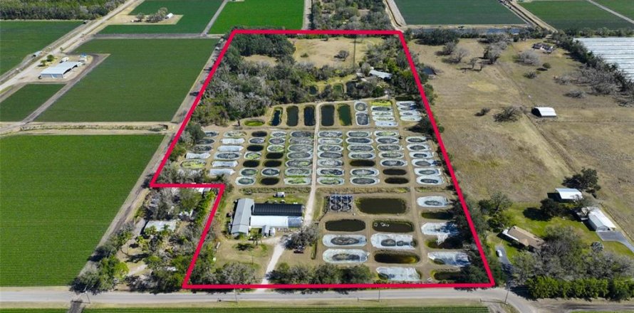Commercial property in Wimauma, Florida 278.71 sq.m. № 2206138