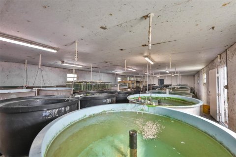 Commercial property in Wimauma, Florida 278.71 sq.m. № 2206138 - photo 21